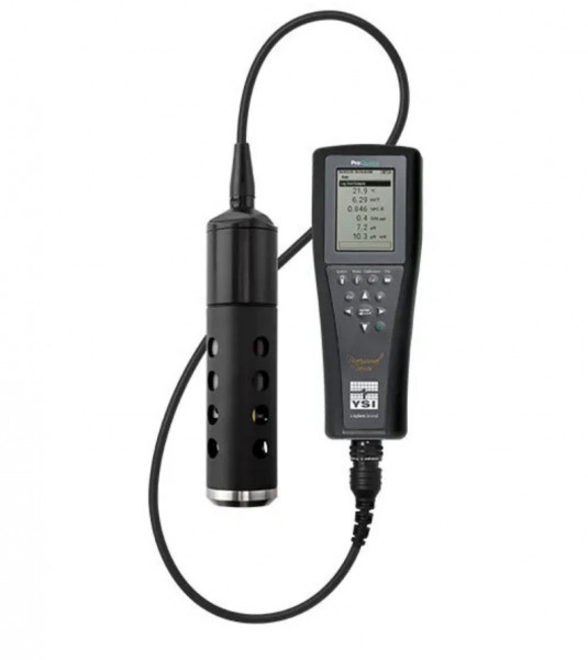 Multiparametric probe